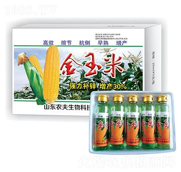 金玉米-農(nóng)夫