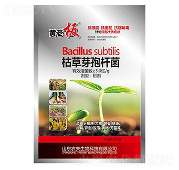 枯草芽孢桿菌-黃老板-農(nóng)夫