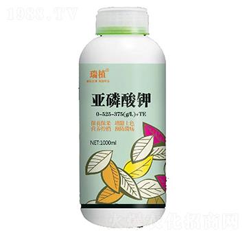 �������0-525-375+TE-��ֲ-���w�~��