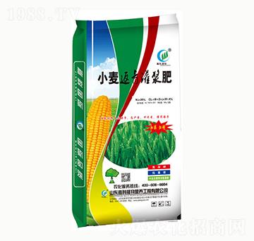 С��������{��-�ο�