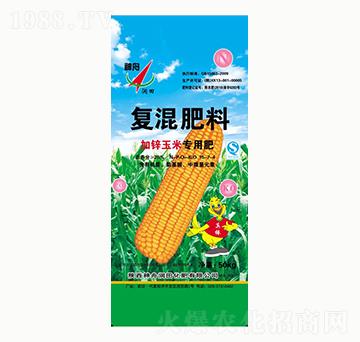 ���\���׌��Ï�(f��)�����15-7-4-���۝���