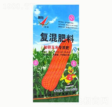 ���\���׌��Ï�(f��)�����16-9-0-���۝���