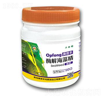 ø�⺣�徫-�W���S