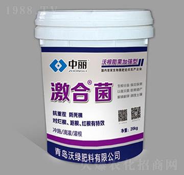 �ָ�����ӏ��ͼ��Ͼ�-�־G����