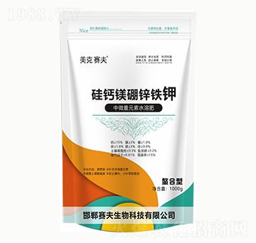 1000g���}�V���\�F�-����ِ��