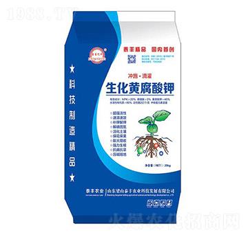 �����S�����-��ɽ̩�S