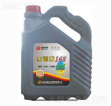 �����S168-�����S