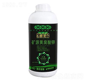 �VԴ�S�����-�ڽ�-�����_