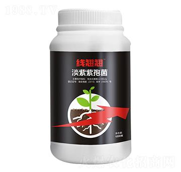 �������߾�-���N�N-�����_