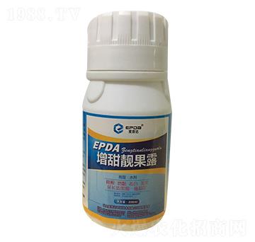 �����n��¶-�����_