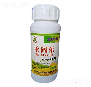 ��ƺ�߼��o(h��)�턩-��韘�-���I(y��)