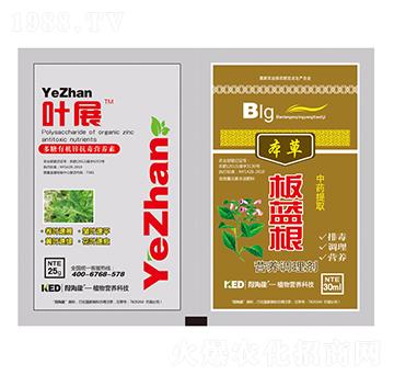 葉展板藍(lán)根-得海龍-康恩地