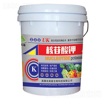 20kg�������-�|���S