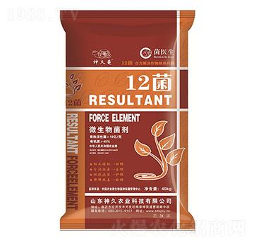 10�|΢�������-12��-����r(n��ng)�I(y��)