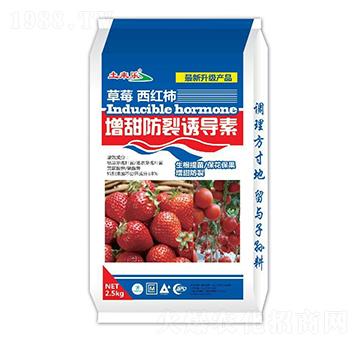 ��ݮ���t����������T����-���혷