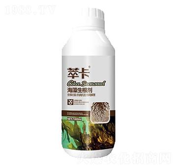 1000ml海藻生根劑-萃卡-金豐洋