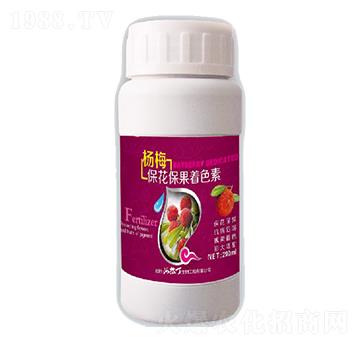 ��÷����������ɫ��-������