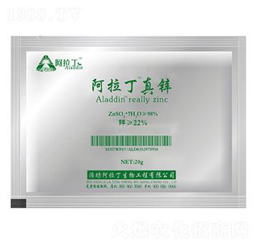 20g���������\-������