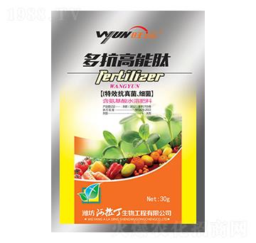 �࿹������-������