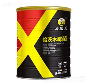 ����ľù��-����������