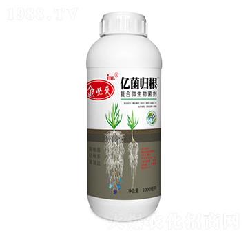 ��(f��)��΢�������-�|���w��-��؁�����