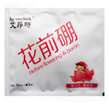 ��ǰ��-������