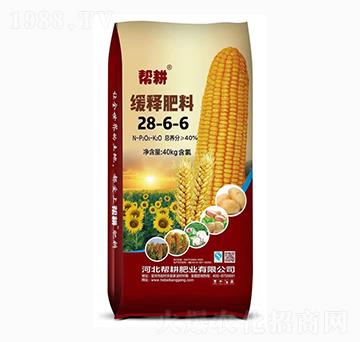 ��ጷ���28-6-6-�͸��ʘI(y��)