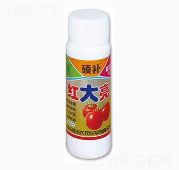 �t����-�GӍ