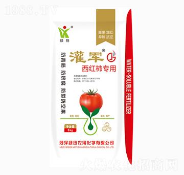 ���t������-��܊-�GӍ