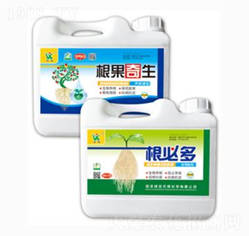 ��������-�GӍ