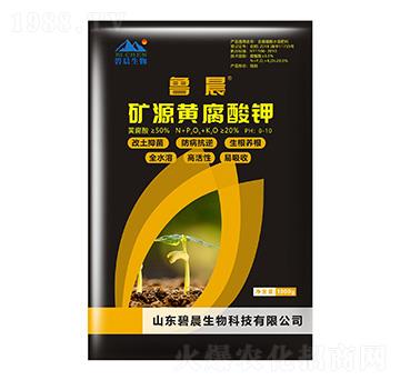 �VԴ�S�����-��������