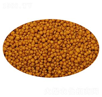 ��������-����