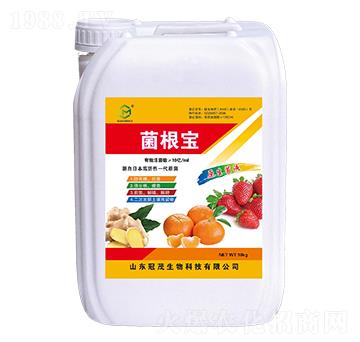 ������-��ï����