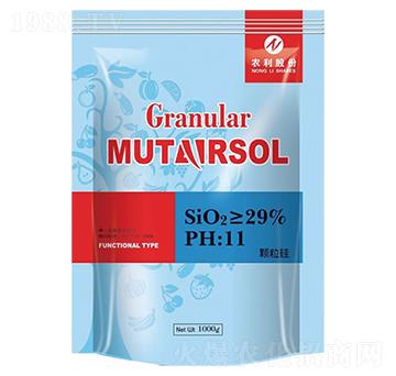 �w����-�r(n��ng)��