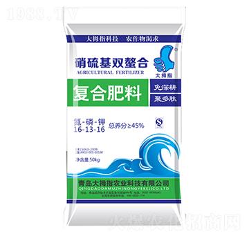 �ͺϷ���16-13-16-��Ĵָ