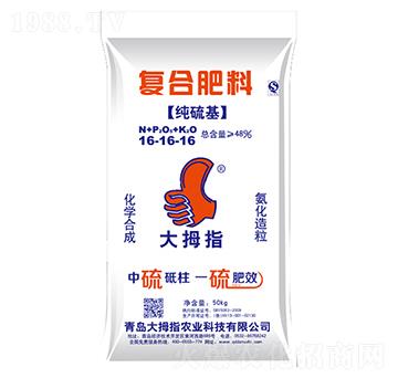 �ͺϷ���16-16-16-��Ĵָ