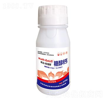 �Ǵ��}-���������S˹-ɽ�|�������