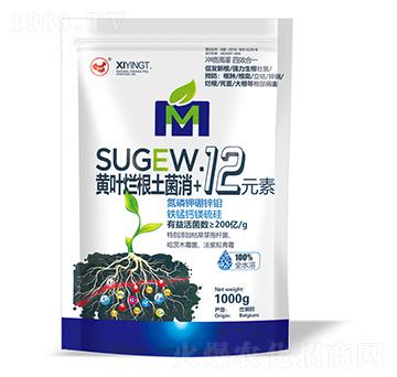 �S�~����������+12Ԫ��-ɽ�|�������