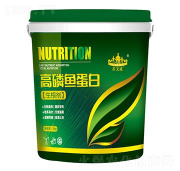 �����~(y��)����-ɽ�|�������