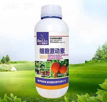 ����������-������