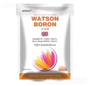 ��ķɭ��-Ӣ�������