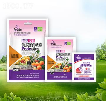 �����ڷ۴ٻ�������+�T��(d��o)��-������