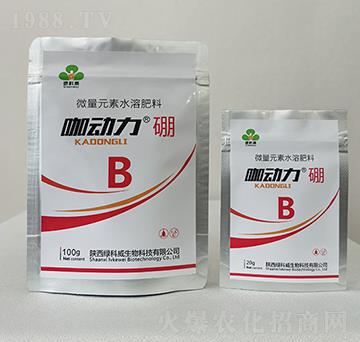 ����(d��ng)����-�G����