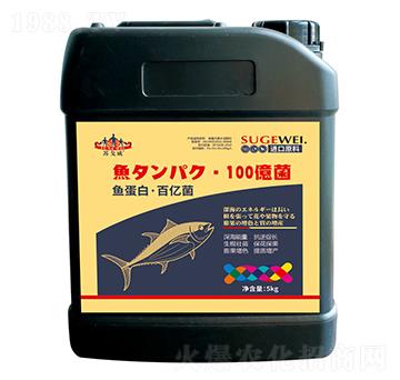 �~(y��)���ס��ك|��-ɽ�|�������