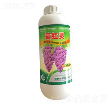 �ϼt�`-�G��