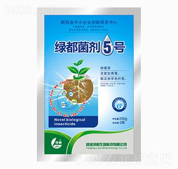 �G������5̖(h��o)-�G��