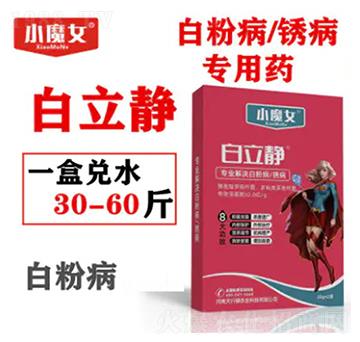 �׷۲����P������ˎ-�����o-СħŮ-���н�