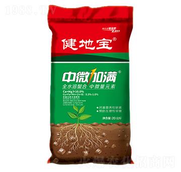 ��΢�ӝM-���،�