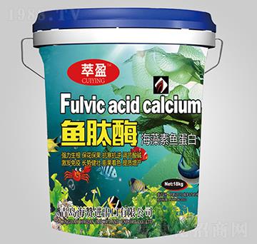 �������~����-�~��ø-��ٝ