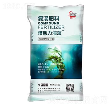 ���徫�A�����͏ͻ����20-5-15-����������-������